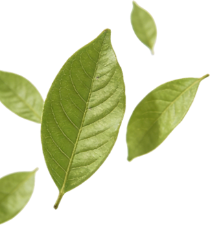 Tính bền vững
