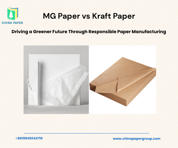 Giấy MG so với Giấy Kraft: Khác biệt, Công dụng và Nên chọn loại nào