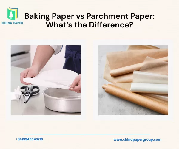 Giấy nướng vs Giấy da: Sự khác biệt là gì?