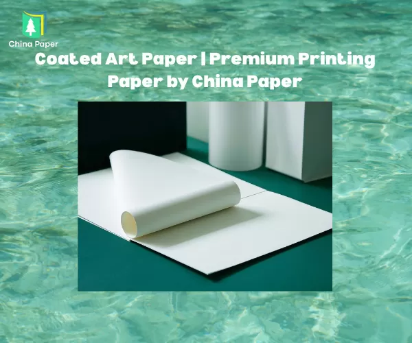 Giấy Art Có Phủ | Giấy In Cao Cấp từ China Paper