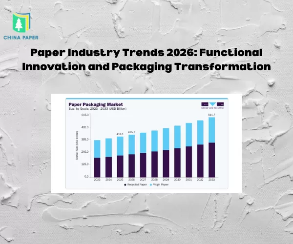 Xu hướng Ngành Giấy 2026: Đổi mới Chức năng và Chuyển đổi Bao bì