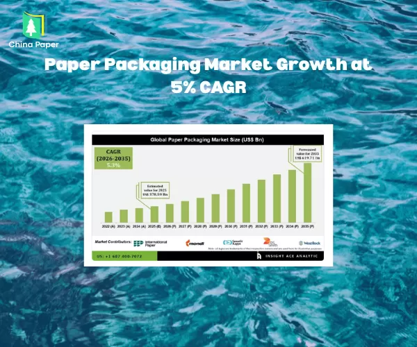 Thị trường bao bì giấy tăng trưởng với CAGR 5%