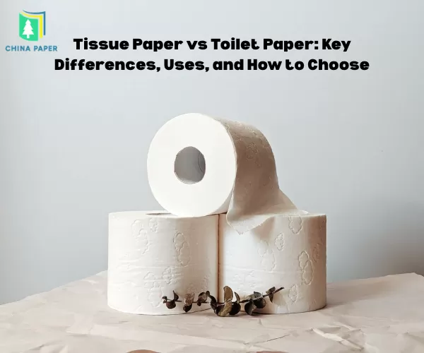 Giấy ăn vs Giấy vệ sinh: Sự khác biệt chính, Công dụng và Cách chọn