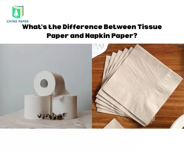 Sự khác biệt giữa giấy tissue và giấy ăn là gì?