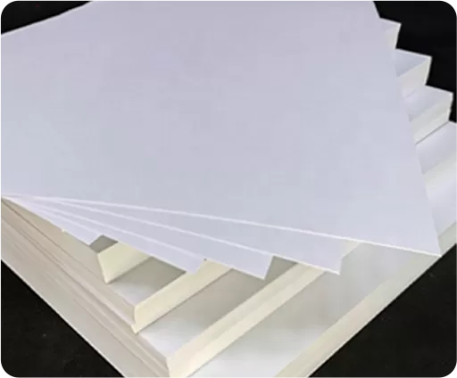Bìa Ivory C1S/FBB