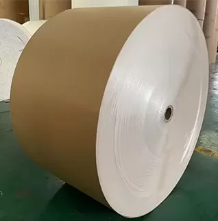 Bìa tráng mặt sau Kraft (CKB)