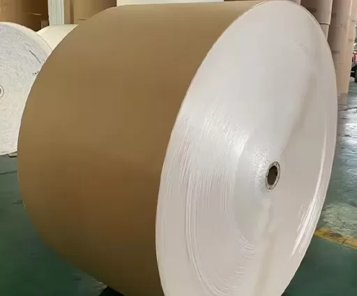 Bìa tráng mặt sau Kraft (CKB)