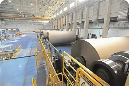 Tấm bao bì thực phẩm