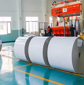 FBB độ dày cao GC1/GC2