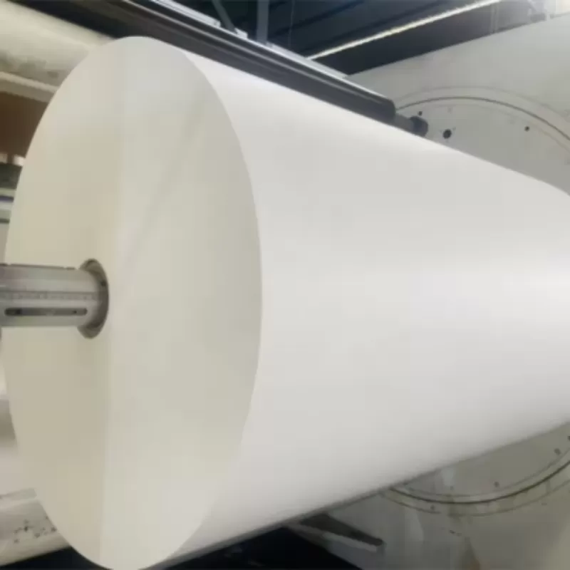 Giấy Mg tráng PE