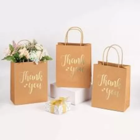 Túi mua sắm & Túi xách tay
