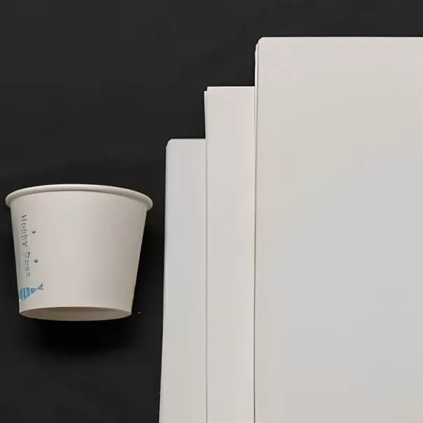 Giấy nền cupstock không tráng phủ